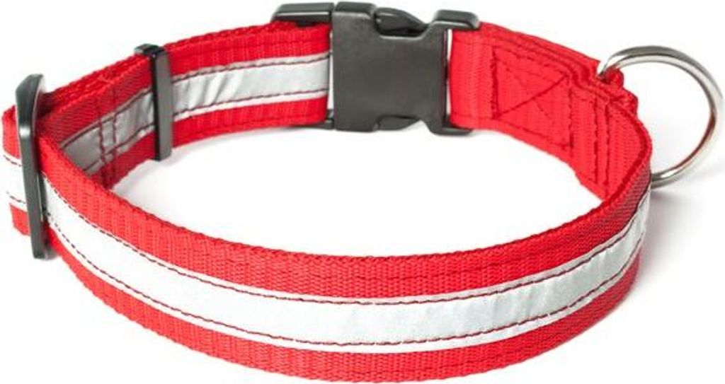 Mystique Nylon Halsband Profi reflex 25mm rot 55-65cm