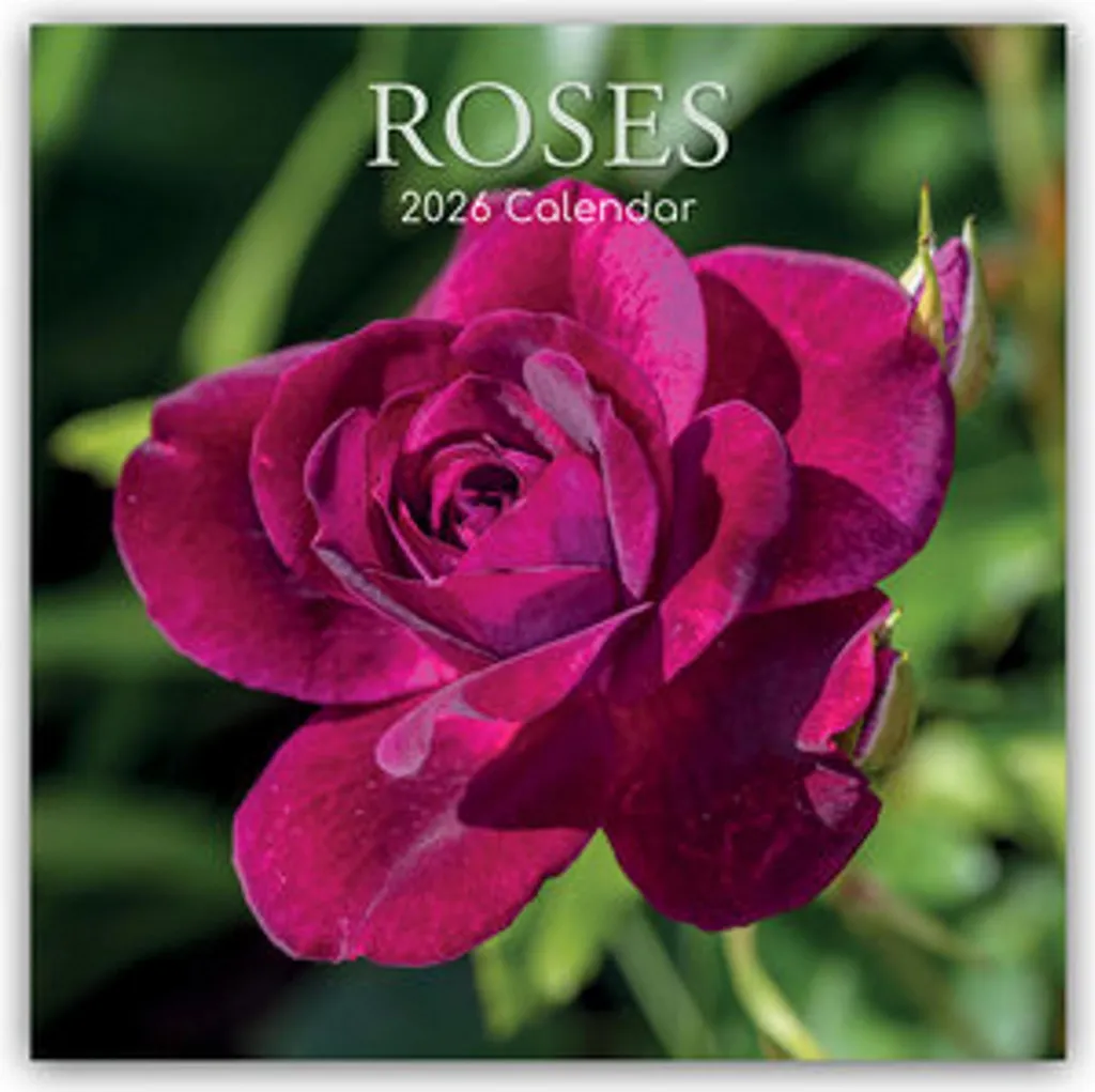 Calendrier mural 2026 Roses - 16 mois de photos florales - Format A4