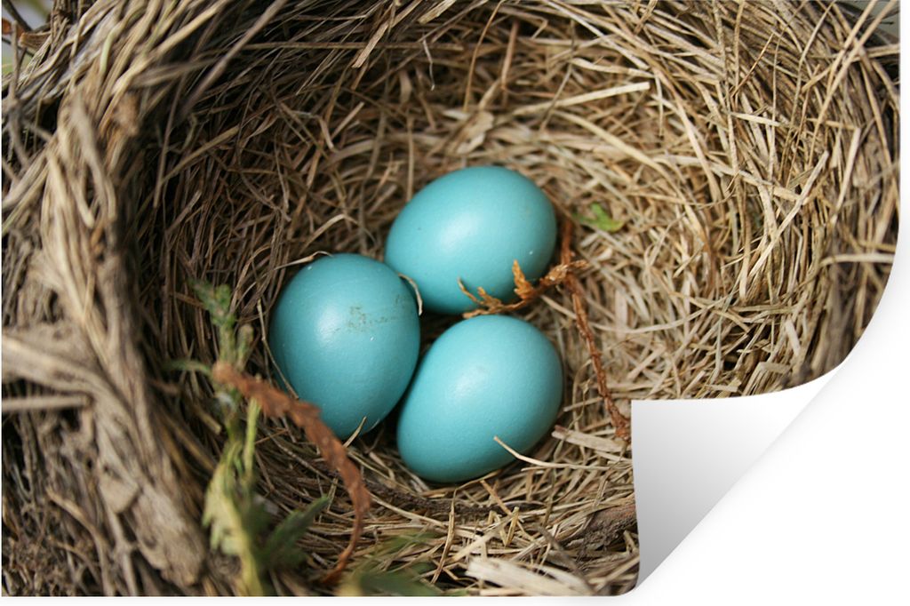 MuchoWow - Selbstklebend - Fototapeten