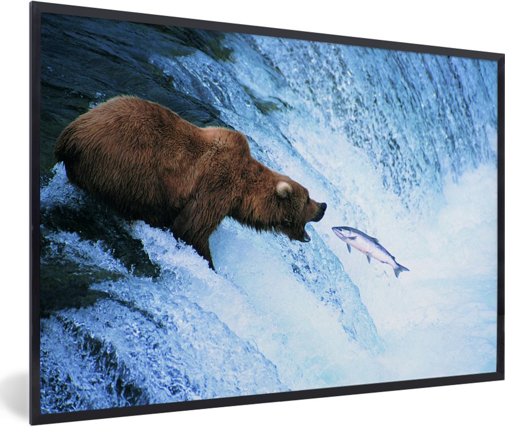 MuchoWow MuchoWow Gerahmtes Poster Bär - Fisch - Wasserfall 90x60 cm - Poster mit zchwarzem Bilderrahmen - Fotorahmen - Foto-Plakat