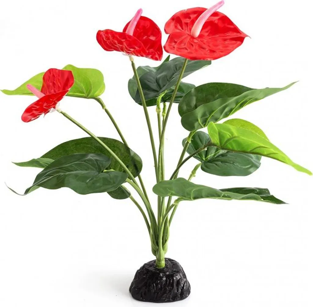 Plante Repti-Zoo Anthurium : Décoration sans entretien pour terrarium