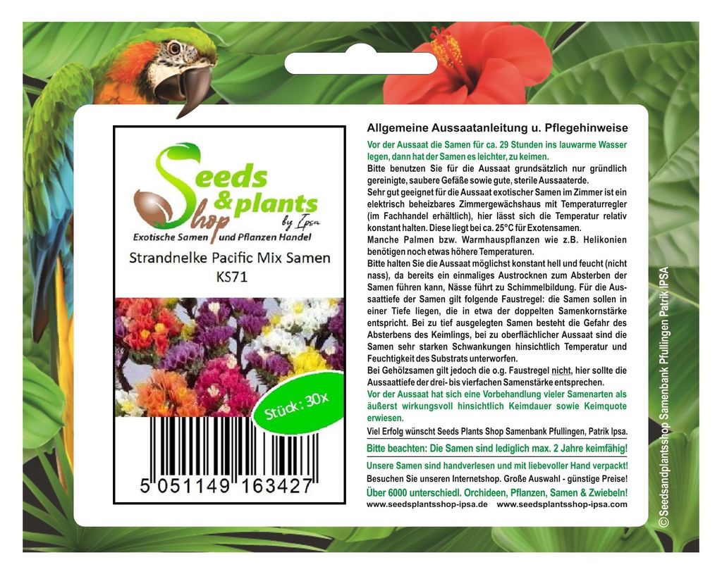 30x Strandnelke Pacific Mix - Limonium zeraphae Samen Garten Blume KS71