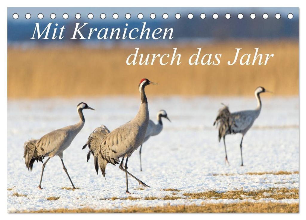 Mit Kranichen durch das Jahr (Tischkalender 2027 DIN A5 quer), CALVENDO Monatskalender