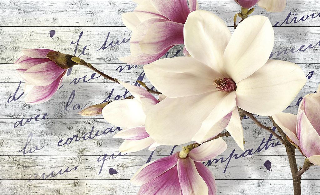 Fototapete Vlies 2878 VEXXXL Magnolie mit Schrift 4-tlg. Produktbild 