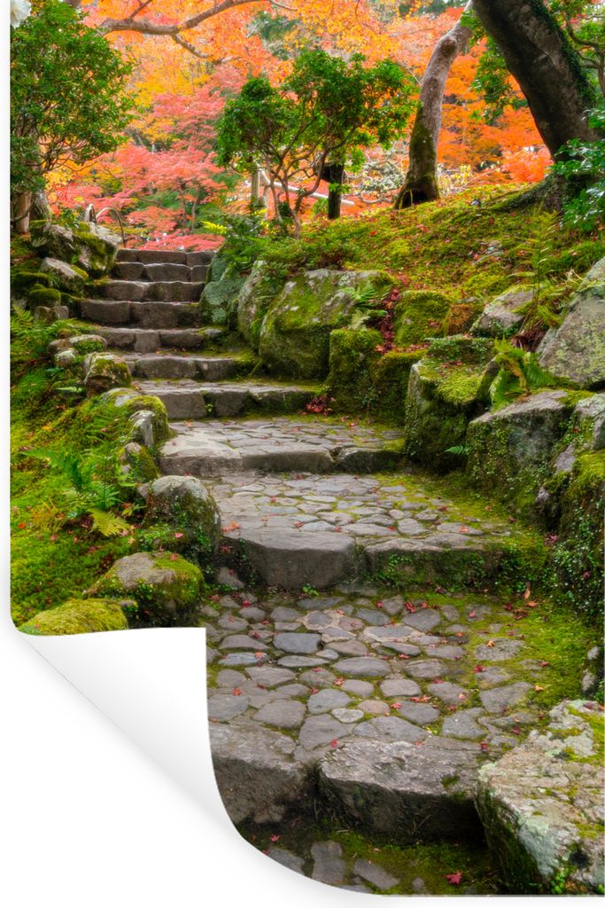 MuchoWow Wandtattoo Wandsticker Wandaufkleber Natur - Steine - Kröte - Moos - Japanisch 60x90 cm Selbstklebend und Repositionierbar - Sticker - ...