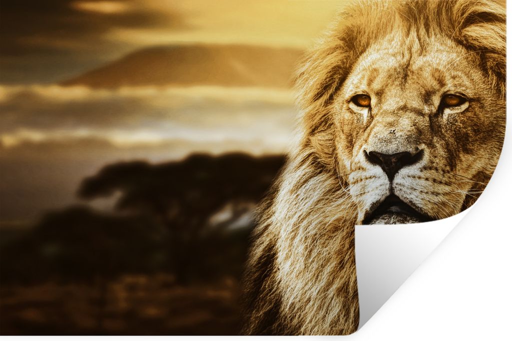 MuchoWow - Selbstklebend - Fototapeten