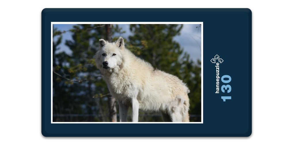 hansepuzzle 19830 - Wolf Puzzle, 130 Teile, Tierwelt, 28,7 x 20,0cm mit hochwertiger Aufbewahrung, Kartonbox und wiederverschließbarem Beutel