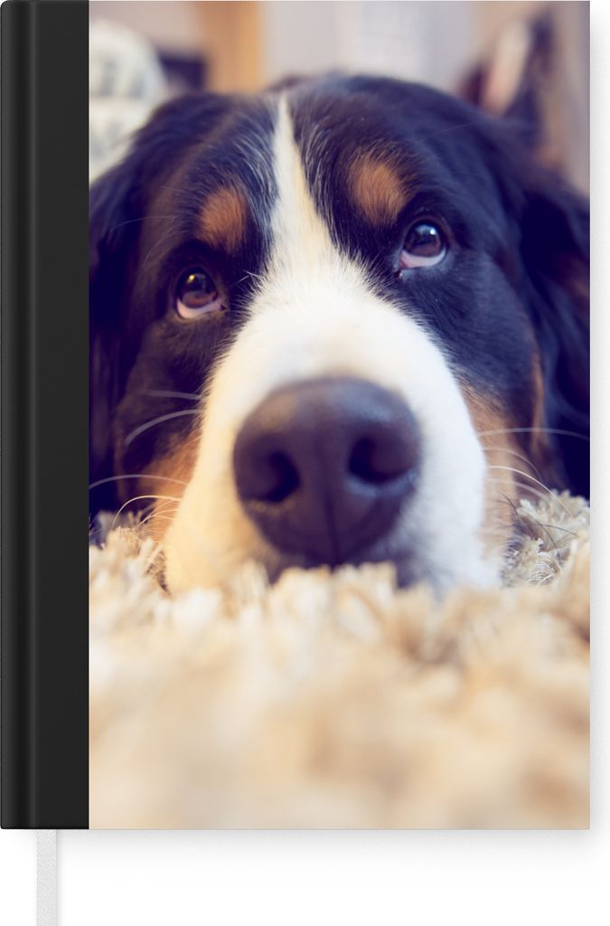 MuchoWow Notizbuch Tagebuch Haushaltsbuch Notebook A5 Berner Sennenhund auf einem weichen Teppich liegend - Notizblock - Notizheft - Notebook - S...