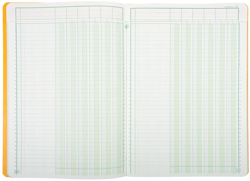 Registro Contabile Exacompta 32x25cm | Carta 110g Premium 6 Colonne