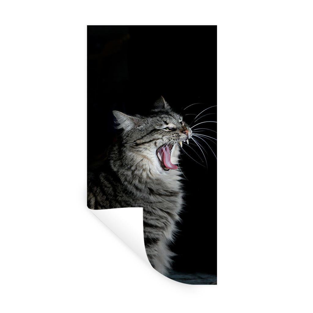 MuchoWow Wandtattoo Wandsticker Wandaufkleber Gaffende Katze 40x80 cm Selbstklebend und Repositionierbar - Repositionierbar - Wasser abweisend