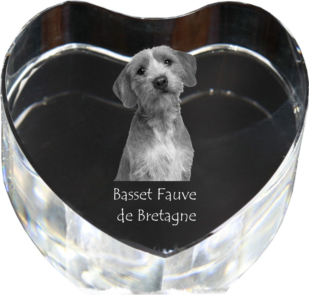 Basset Fauve de Bretagne - Hundebild im Kristall, Kristallherz, einzigartiger Bilderrahmen der Marke Art-Dog