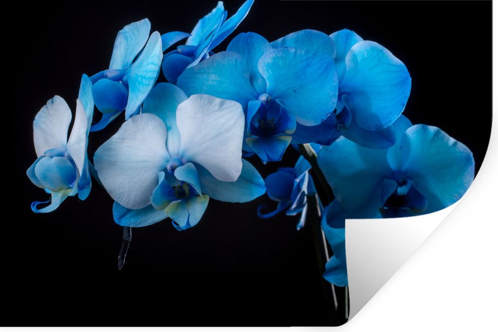 MuchoWow - Aufkleber