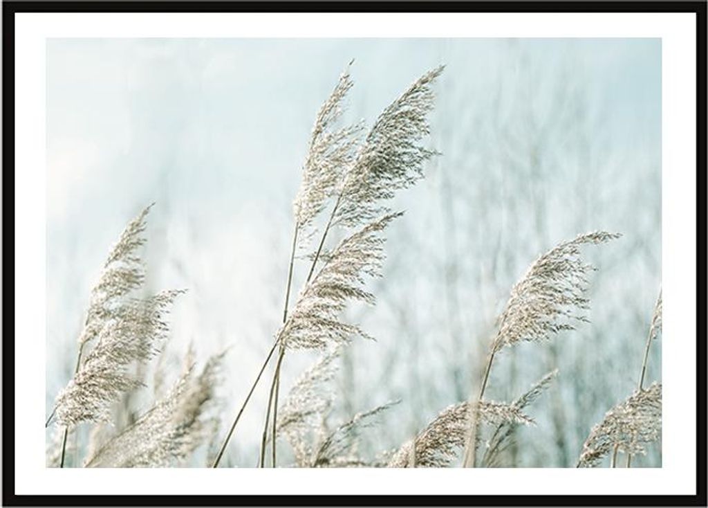 BILDPOSTER IM RAHMEN 33x43 cm Boho P2247