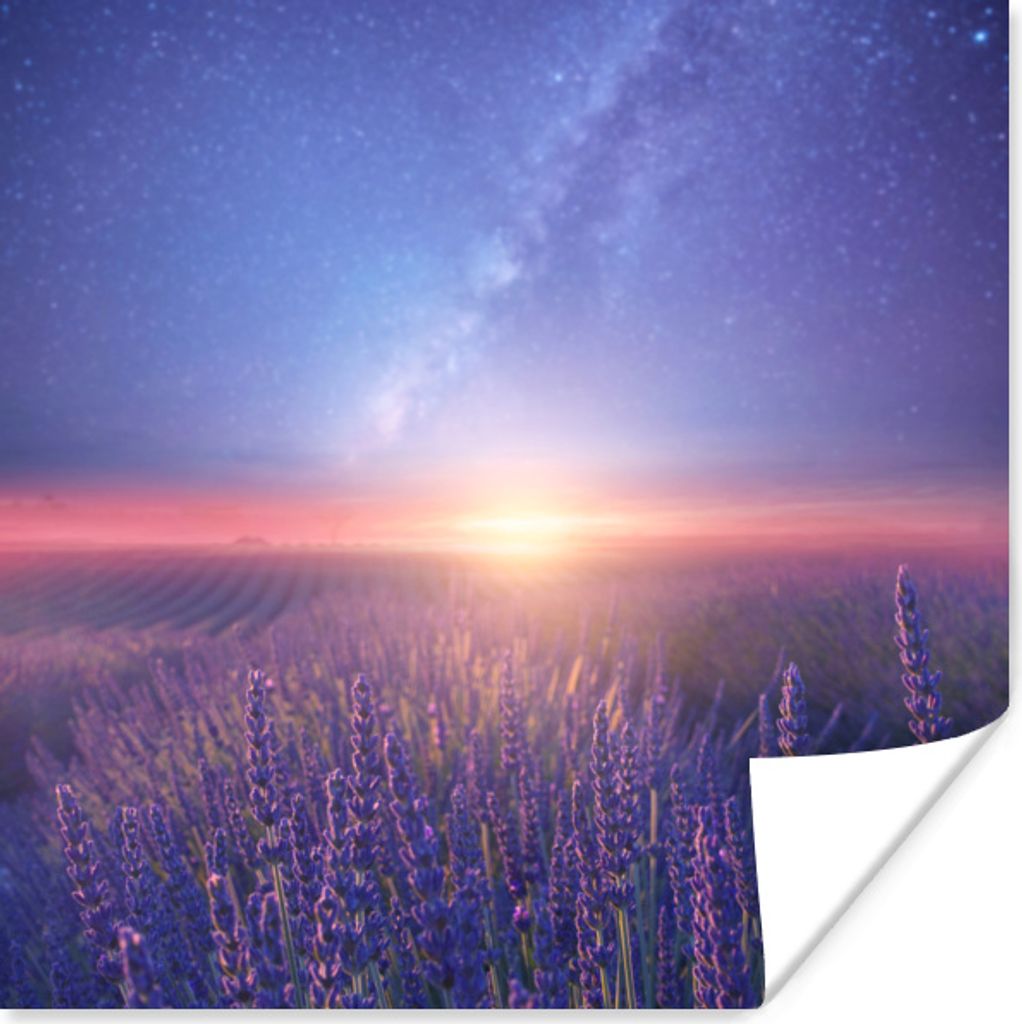 MuchoWow Poster Lavendel - Milchstraße - Blumenwiese 30x30 cm - Wandposter - Printing