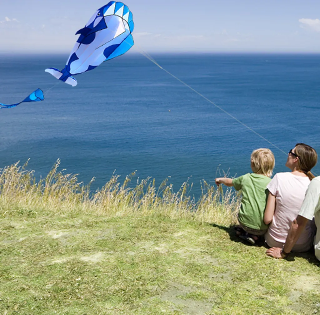 Grand Cerf-volant Souple 3D Orque pour Plage et Loisirs de Plein Air