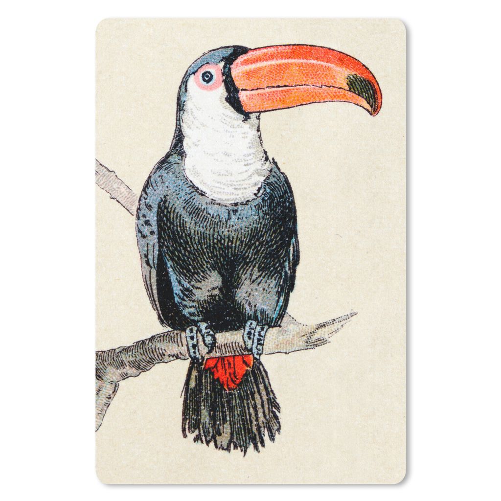 MuchoWow Mauspad Mousepad Eine bunte Illustration eines Tukans 40x60 cm - Mousepads - Maus Mat - Pad - Mausunterlage - Schreibtisch Accesoire