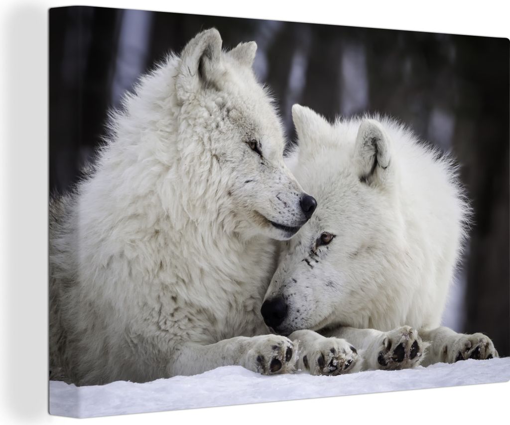 MuchoWow - Leinwandbilder - Wölfe - Schnee - Familie, Wandbild, Wanddeko Bilder Wohnzimmer, 60x40 cm