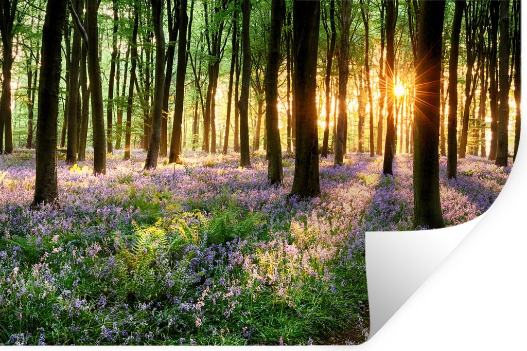 MuchoWow Wandtattoo Wandsticker Wandaufkleber Wald - Blumen - Lavendel - Sonne - Lila - Natur 90x60 cm Selbstklebend und Repositionierbar - Aufkl...