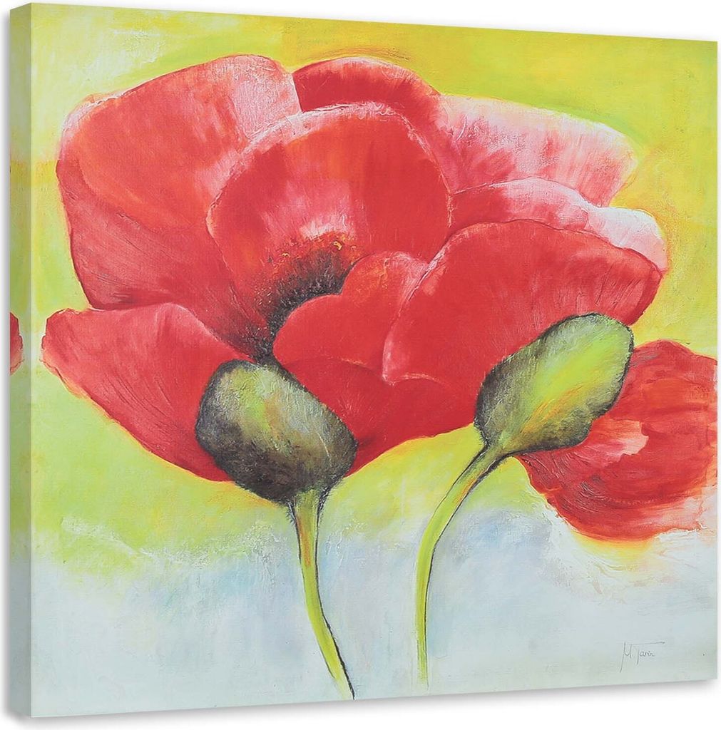 Leinwandbild zwei mohnblumen in großaufnahme 60x60 cm Feeby rot wandbild bereit zum aufhängen