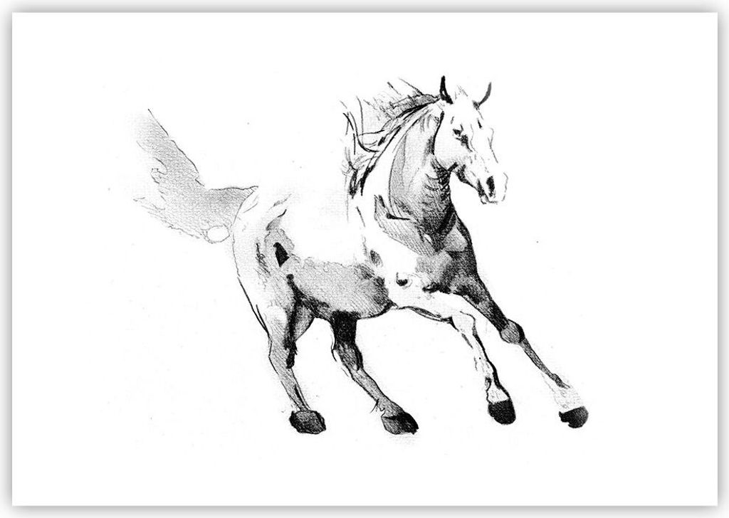 Poster - Poster ohne Rahmen - Pferd Galopp Tier - 100x70 cm - Wand Bild - Wanddeko - Wandbilder - Kunstposter - Wandposter - Bilder - Kunstdruck - ...