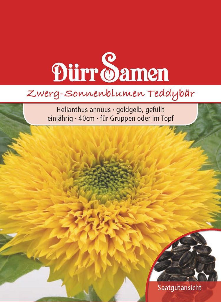 Artikelbild 1 von 'Zwergsonnenblume Teddybär' aus der Kategorie Sonnenblumensamen