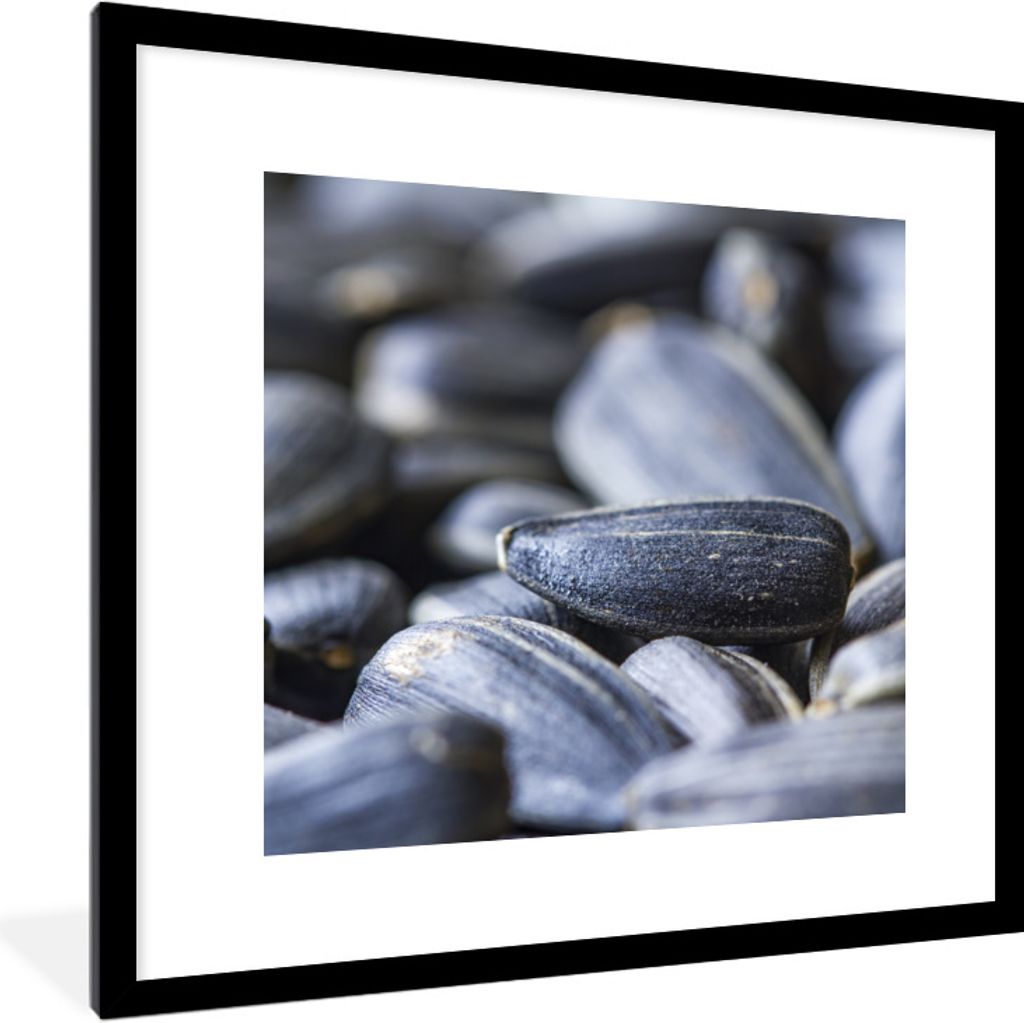 MuchoWow Gerahmtes Poster Nahaufnahme von schönen Sonnenblumenkernen. 40x40 cm - Poster mit Schwarzem Bilderrahmen Wandposter Rahmen Foto Bilder...