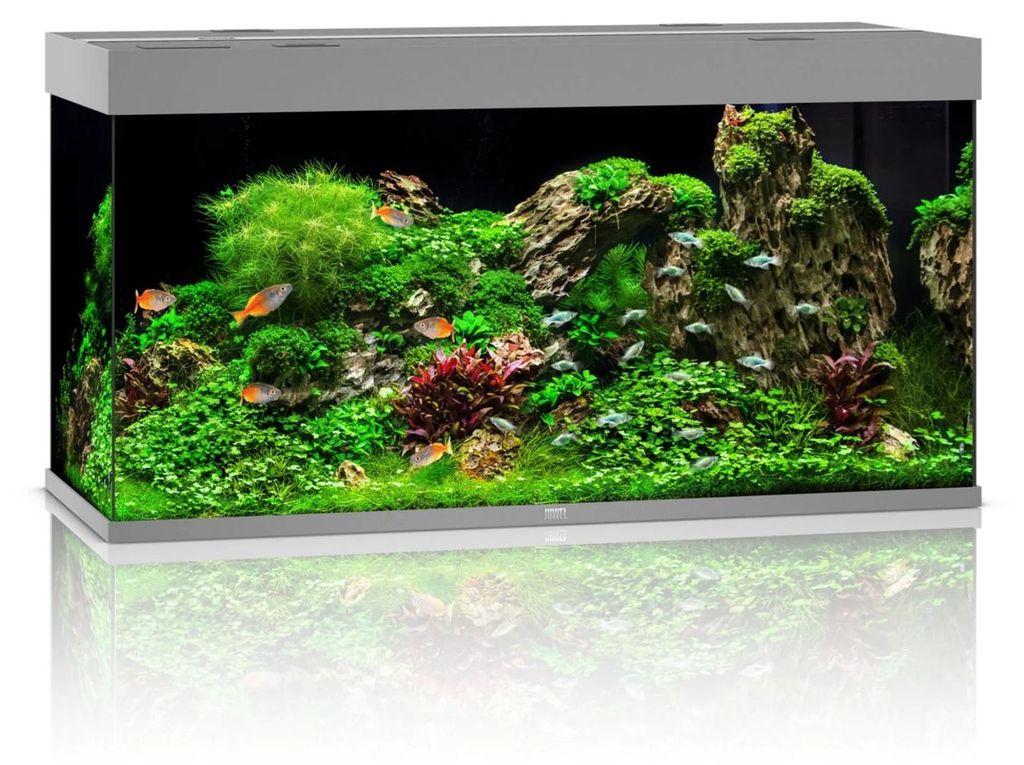Juwel Rio 350 LED | 350L | 121 x 51 x 66CM Grijs Productafbeelding 