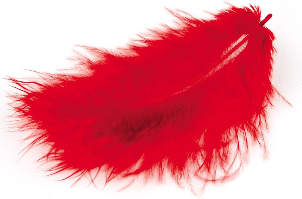 Marabufedern rot 10/12 cm 17 Stück Produktbild 