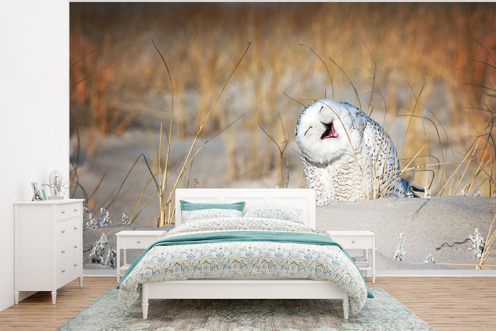 MuchoWow Fototapete für Wohnzimmer oder Schlafzimmer Wandtapete Vinyl Motivtapete Eule - Schnee - Düne - 350x260 cm - Wohnzimmer-Tapete