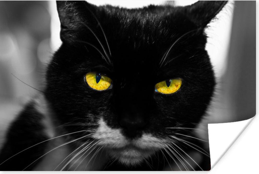 MuchoWow Poster Schwarz-Weiß-Foto des Kopfes einer schwarzen Katze mit gelben Augen 30x20 cm - Plakate - Print