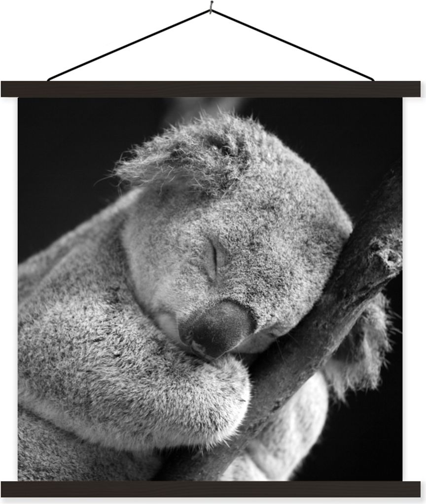 MuchoWow Textilposter Schlafender Koala auf schwarzem Hintergrund 60x60 cm mit schwarzem Rahmen - Posteraufhänger