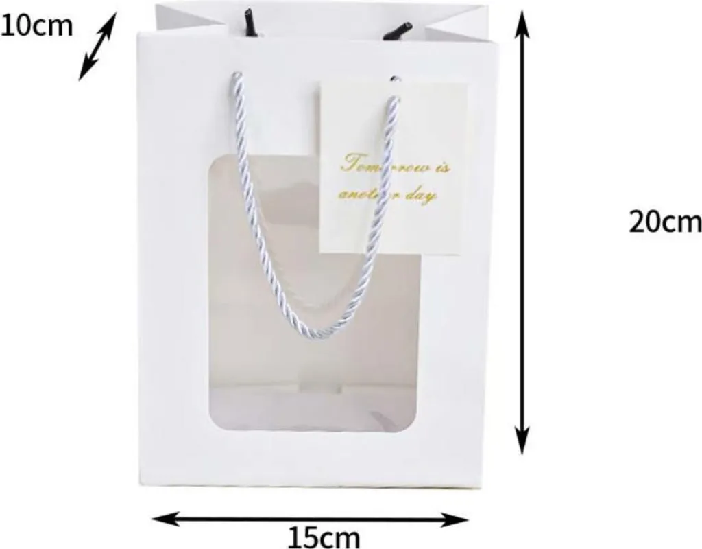 10 Sacchetti Carta Kraft Bianca con Finestra 20x15x10cm per Fai-da-te