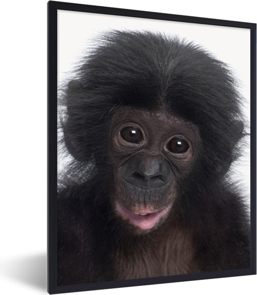 MuchoWow Gerahmtes Poster Affe - Schimpanse - Porträt - Kinder - Jungen - Mädchen 30x40 cm - Poster mit Schwarzem Bilderrahmen Wandposter Rahme...