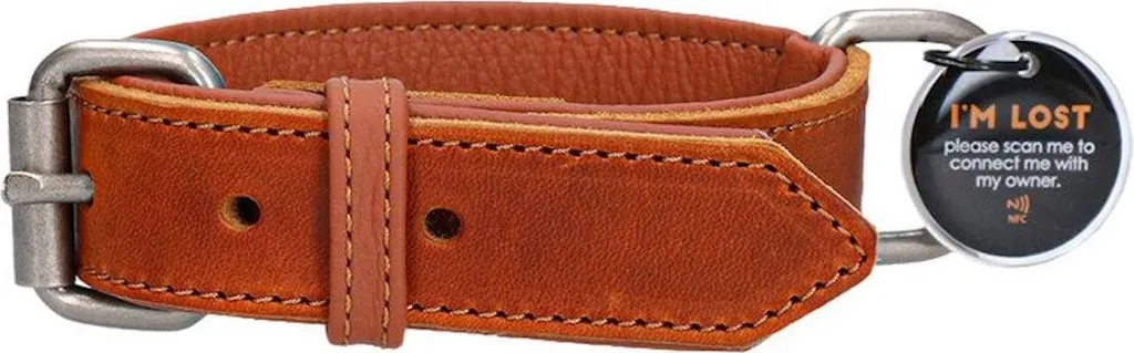 Collier en cuir robuste cognac Spotted Pro 50 cm avec boucle renforcée