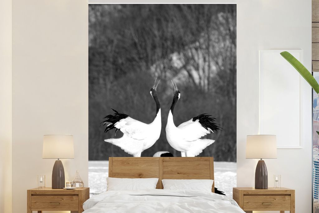 MuchoWow Fototapete für Wohnzimmer oder Schlafzimmer Wandtapete Vinyl Motivtapete Zwei japanische Kraniche tanzen einen Paarungstanz im Schnee -...