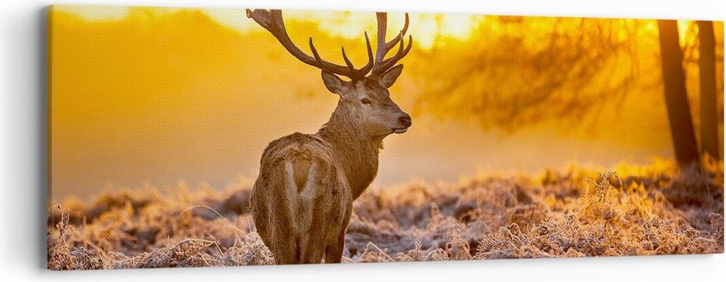 Bild auf Leinwand - Leinwandbild - Herbst landschaft natur blatt - 90x30cm - Wand Bild - Wanddeko - Leinwanddruck - Bilder - Kunstdruck - Wanddekor...