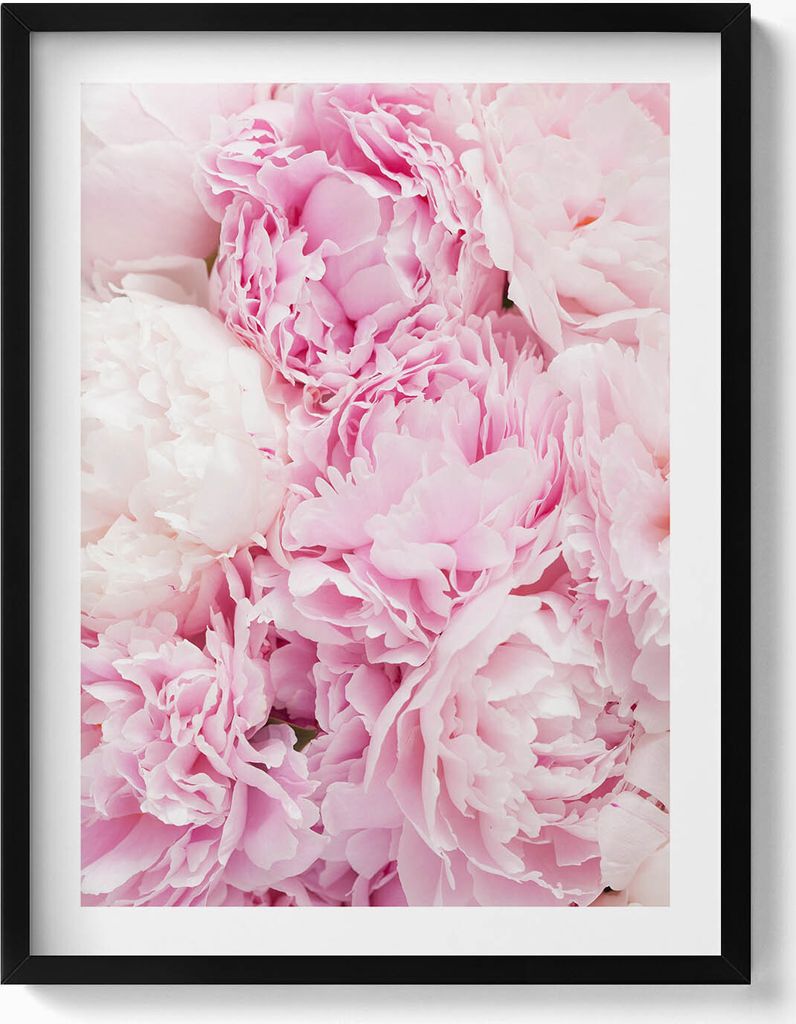 Zarte Pfingstrosenblüten– Wandbild mit Rahmen – Gerahmtes Bild – Wanddekoration – 60x80 cm – Schwarz Rahmen