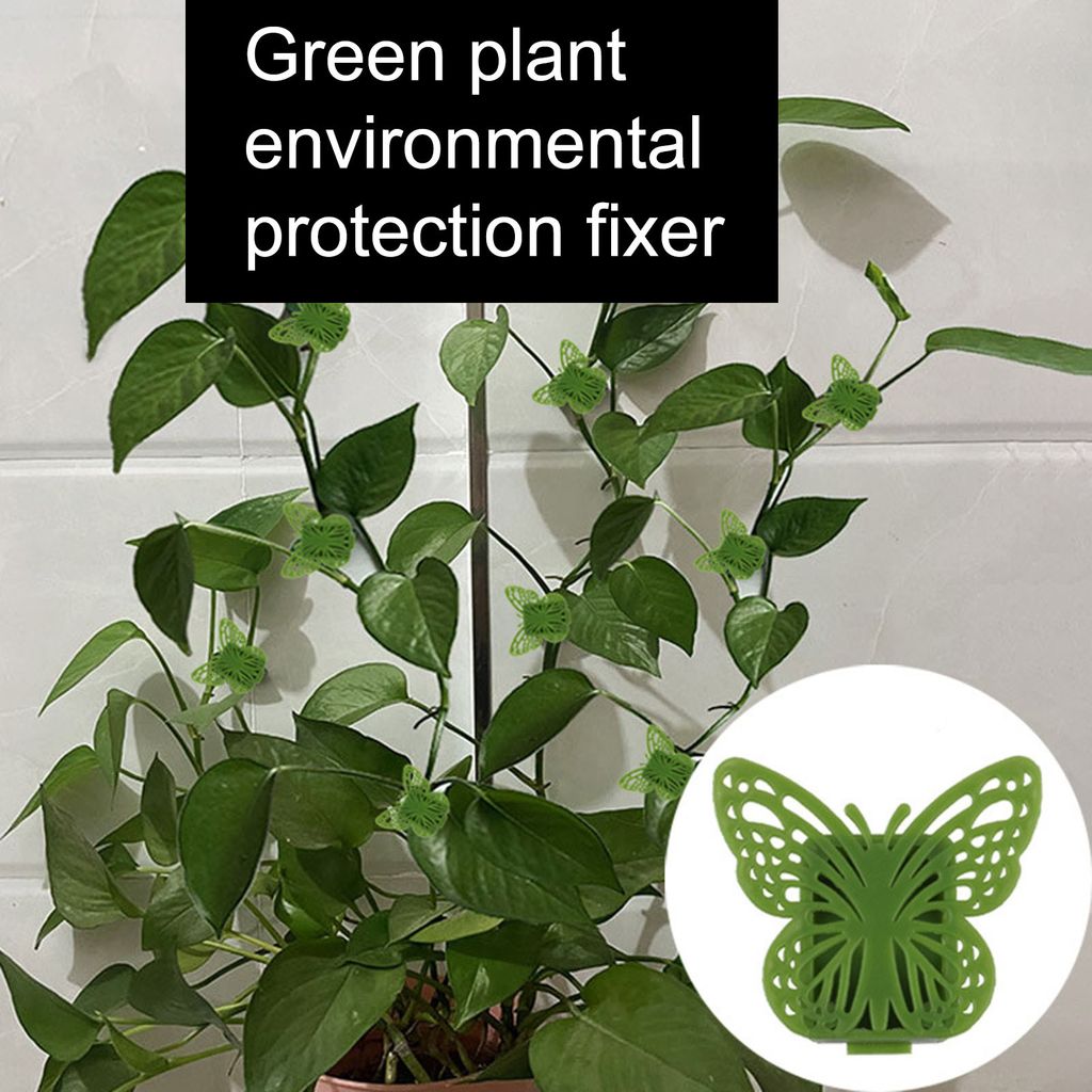 50pcs Rattan Rebefixer Selbstklebender näserfreier Schmetterlingsform Pflanze Kletter Wandtätigkeit Clip Balkon Lieferungen