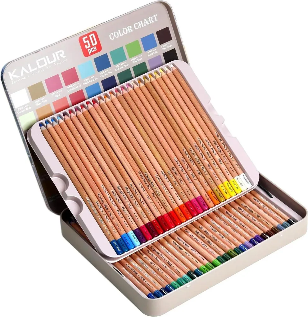 Set de 50 crayons de couleur pastel et fusains pour dessin et esquisse