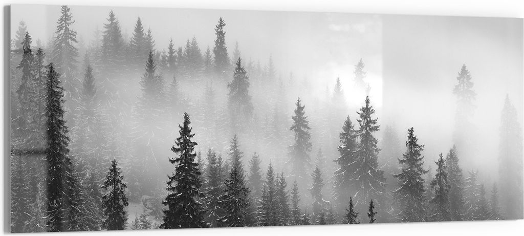 DEQORI Glasbild Echtglas 150x60 cm 'Nebelwald Stille' Wandbild Bild modern Deko