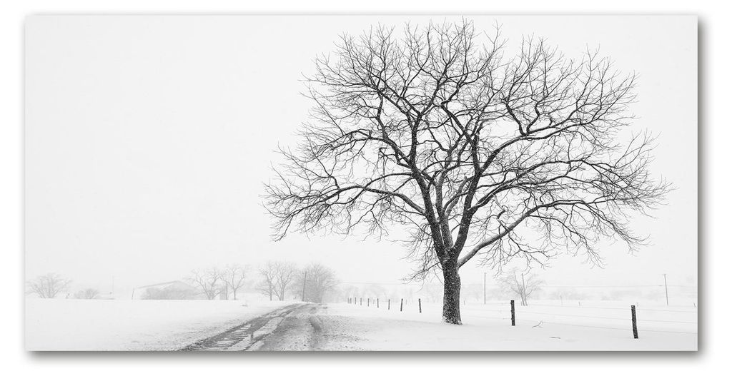Tulup Glas-Bild - 100x50 -Wandkunst - Wandbild hinter gehärtetem Sicherheitsglas - Landschaften - Winter Baum - Weiß