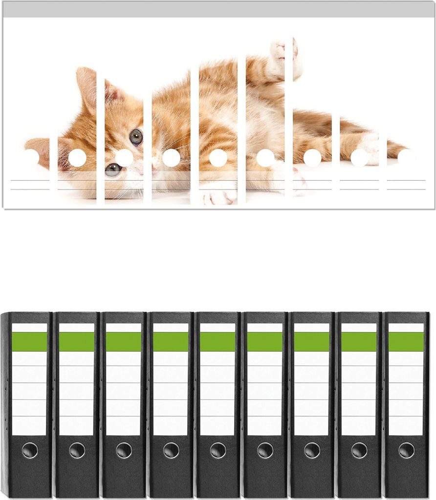 Wallario 9 Stück breite Ordner inkl. Klebeetiketten mit Motive Süße Katze mit großen Augen - rot weiß getigert - Set mit Rückenschildern / O...