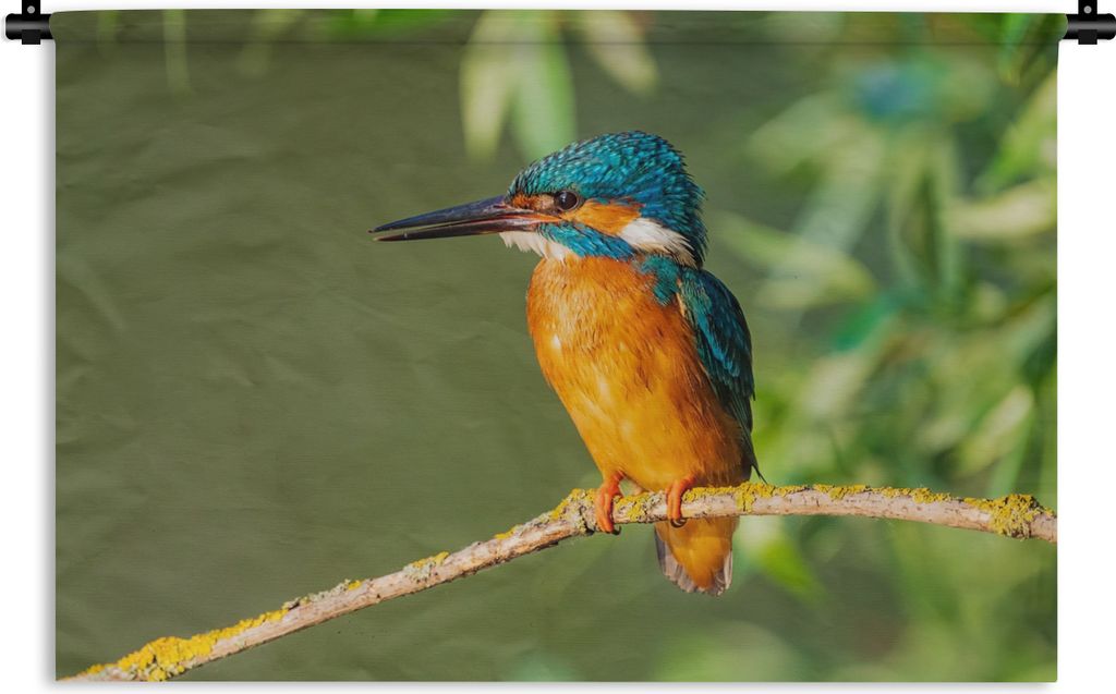 MuchoWow Wandteppich Wandbehang Vogel - Eisvogel - Zweig - Blätter - Moos 90x60 cm Tapisserie Dekoration Wandtuch - Wandskulpturen - Bildteppich