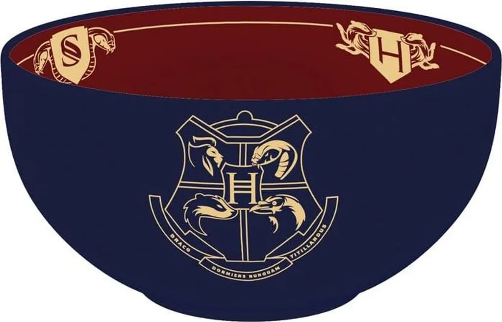 HARRY POTTER - Ciotola - 600 ml - Scatola di cartone "Alunni di Hogwarts