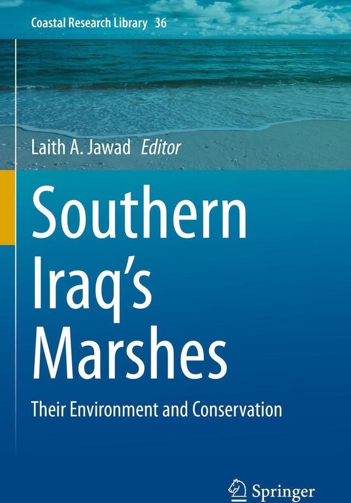 Southern Iraq's Marshes