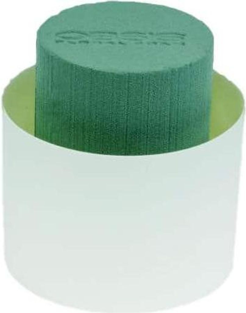 OASIS Nass Steckschwamm Zylinder KATRA in Papercompound Schale, grün-Creme, 9cm, Ø11cm - Nasssteckschaum