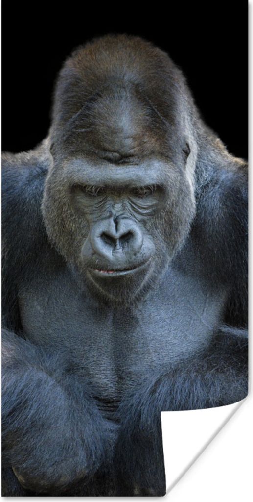 MuchoWow Poster Ein Gorilla schaut eindrucksvoll in die Kamera 60x120 cm - Wandschmuck