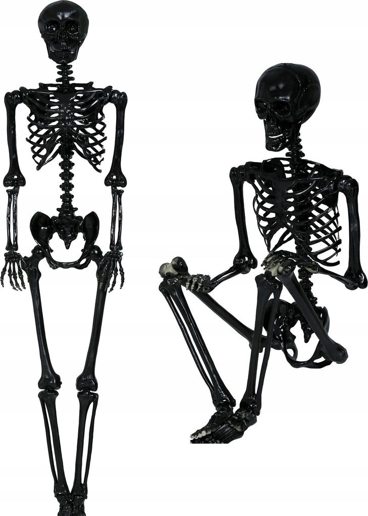 Halloween Party Dekoration Schwarze Menschliche Produktbild 