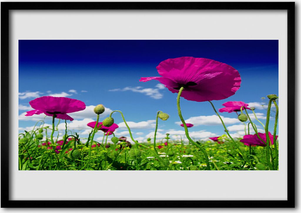Bild 100x70 MDF-Rahmen Wandkunst Sky Wiese Blumen Natur