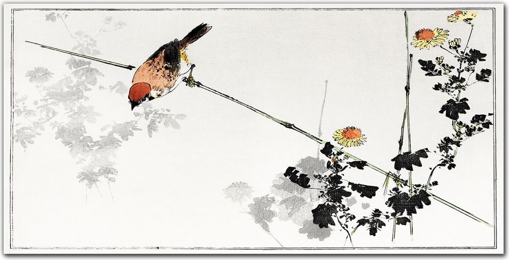 Coloray Bild aus Acryl 140 cm x 70 cm - Wanddekoration Küche Bild auf Acrylglas Dekoration Wohnzimmer Gehärtetes Acryl - Tier Vogel Spatz